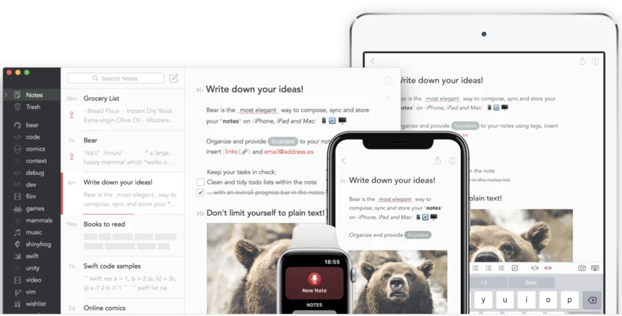 bear-notes-interface