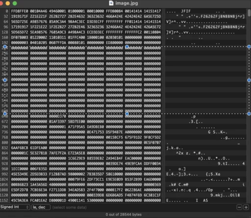 hex-editor-zero-bytes